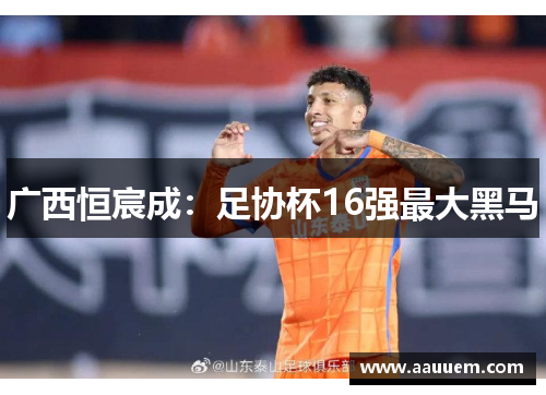 广西恒宸成：足协杯16强最大黑马
